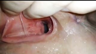 Chị gái tôi cho chó đụ