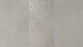 Quay trộm e gái bên cạnh phòng trọ tắm 😋😋