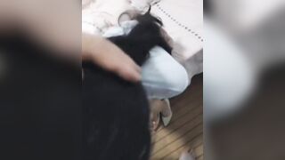 Hai đứa nì mần cí j zị trời!!! Biết điểm thi đại học nên tính chuyện lập gia đình hả?