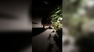bắt quả tang, nhỏ này lén lút tè bậy nhá! đái lẹ, có người tới kìa!