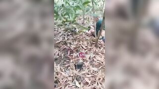 Bắt quả tang vợ nhà ai tằng tịu với trai già trong rừng