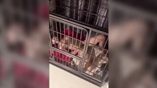 Biến con chó cái thành bồn chứa tinh thèm địt dâm đãng