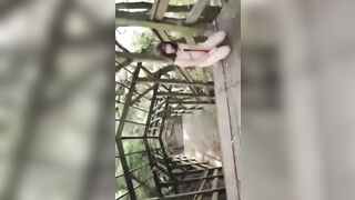 Đang nên chùa thì gặp con đĩ giữa đường , không thể tinh tâm nổi