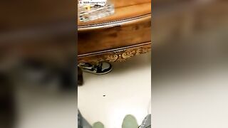 长腿姐姐 04