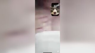 Gạ được em gái chat sex
