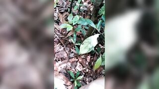 Em học sinh lớp6 bị đưa lên rừng phá trinh P2