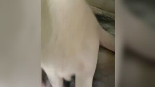 Tâm như 2k9 móc bím thành thạo cho ny xem