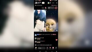 My thỏ