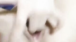 mócccc
