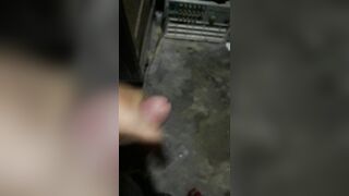 Sóc lọ phọt tinh