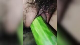 Dưa leo làm e thích