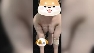 Con chó cái khốn nạn dâm đãng