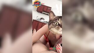 Độc lạ, Grap chát sex gạ khách hàng djt nhau xuất trong sướng vl ra