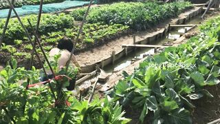 2 Đứa Cháu Về Quê Vạch Lồn Vạch Vú Gạ Địt Ông Ngoại Hơn 80 Tuổi p3