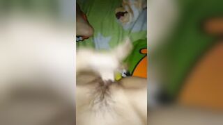Vy tường *** vĩnh long  clip mới nhất