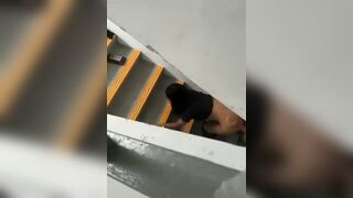 Quay lén công nhân địt nhau trong cầu thang đang nứng thì bị phát hiện
