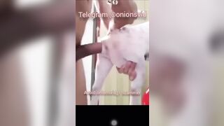 Cặc bự chịch chó nửa nè