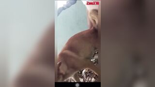 Clip ngắn nhà hoang