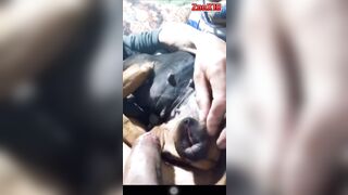 Lại con cặc dài đụ lồn chó múp tại chổ ngủ