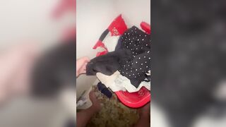 lục quần lót của e họ