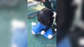 Lũ sv kéo con bé c3 ra sân bóng xong lột hết đồ