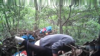 Chăn Em Rau Vào Trong Rừng Làm Nháy