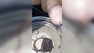 Thả giun ra sau khi nuôi được