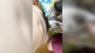 Pet cưng 3