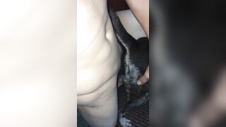Hấp diêm pet