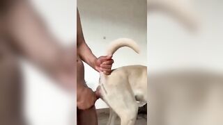 Anh chàng cơ bắp bà von chó