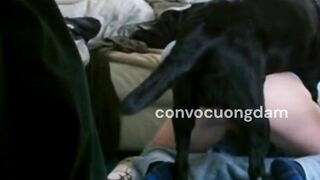 Súc vật bố giữ tay giữ chân con gáI riêng của vợ lạI để cho chó thụ tinh