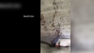 Clip Hot Huỳnh Thị Anh Thy Lên Đỉnh Nước Lồn Bắn Đầy Sàn Nhà
