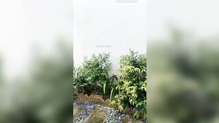 Em idol MMlive sanzai2 bú cặc public show chịch với người lạ tại bờ suối