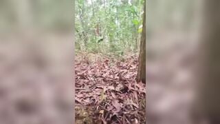 2 học sinh đưa nhau lên núi địt nhau bú cặc dâm đãng