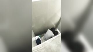 Quay lén 2 đứa bạn cùng lớp địt nhau trong nvs nữ rồi đăng lên confession trường