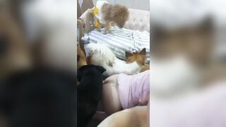 Bà chủ cho đàn chó ???? đụ từ con phần 4