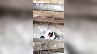Cặp đôi trẻ bú cu trong hẻm