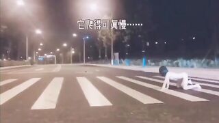 Những cô gái khoe lồn nơi công cộng 18