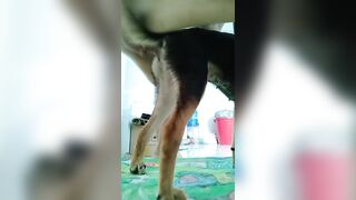 Nút cán 2