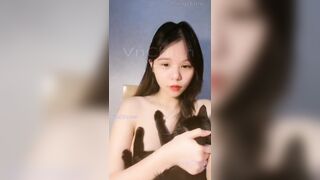 Mèo và bạn