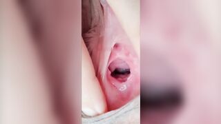 Lồn cận cảnh