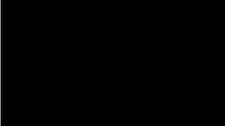 chym hư 221