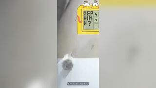 idol mới nổi nìi2