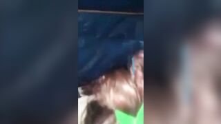 Địt đứa em họ trong chuồng gà ,em nó bú cặc tí thi phụt vú to lồn ngon nhiều nước