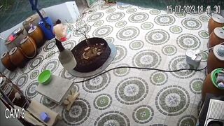 Hack camera p1