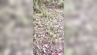 Cảm ơn anh đã cho em lên đỉnh gữa rừng