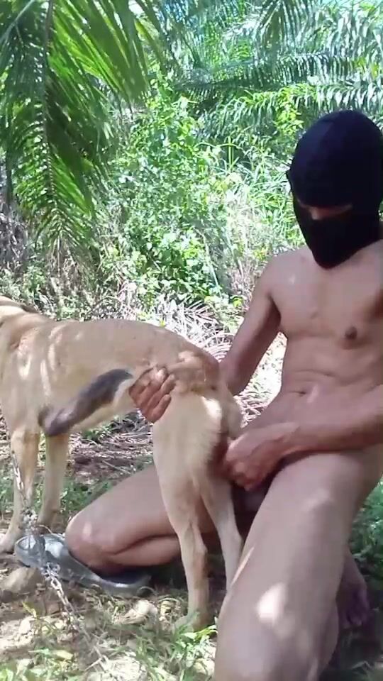 Trai thái bú lồn chó