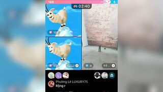 Chuột trả kèo tiktok