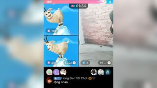 Chuột trả kèo tiktok