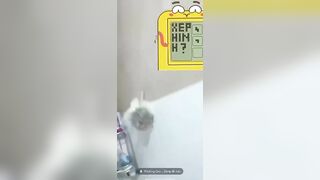 Múp quá chịch Trần Thị Kim Ngân
